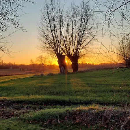 فندق مبيت وإفطار Krogsgaardens أودنسه